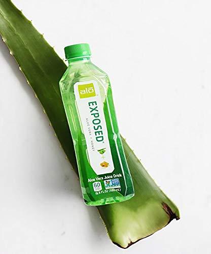aloe vera liquid vape ALO Exposed Aloe Vera Juice Drink, Aloe Vera + Honey, (Pack of 12), 16.9  Ounce